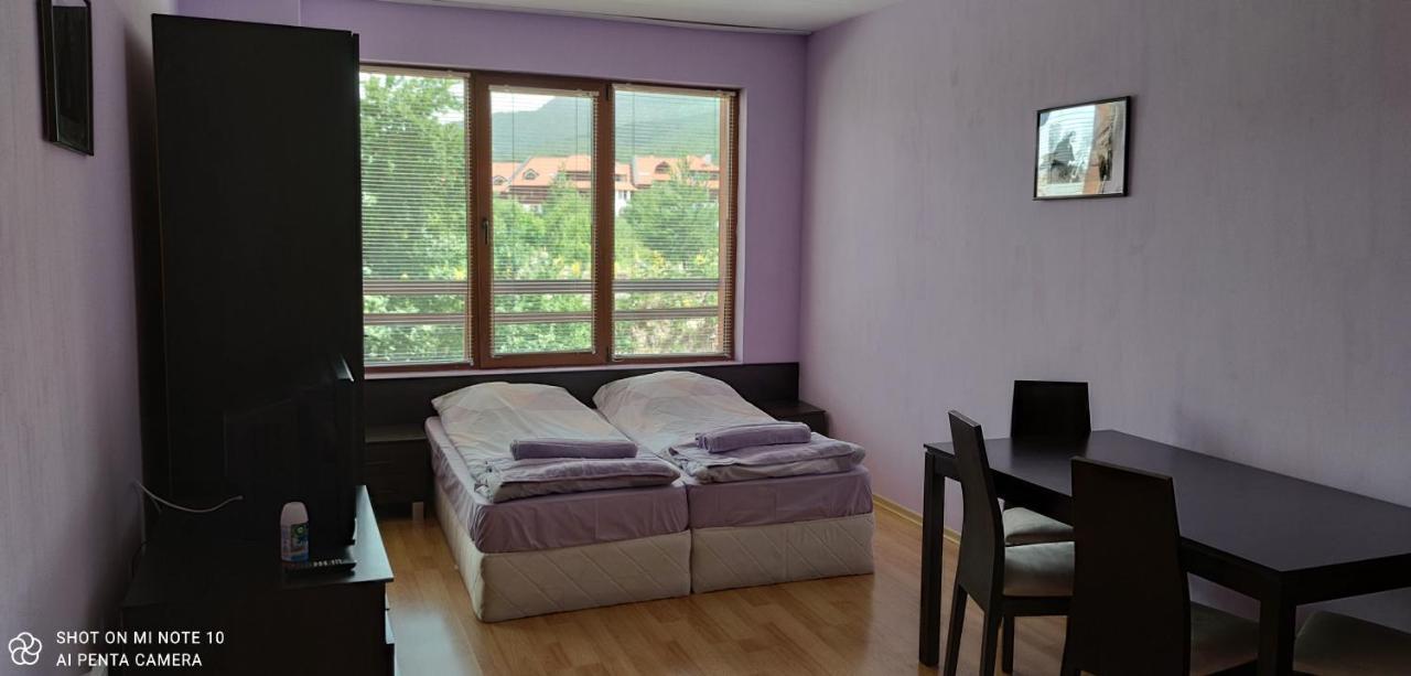Predela 1 - Studio 10 Near Bansko Ski Lift المظهر الخارجي الصورة