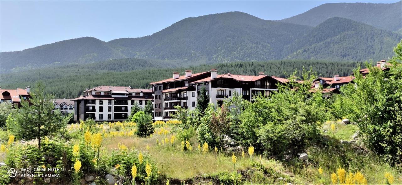 Predela 1 - Studio 10 Near Bansko Ski Lift المظهر الخارجي الصورة