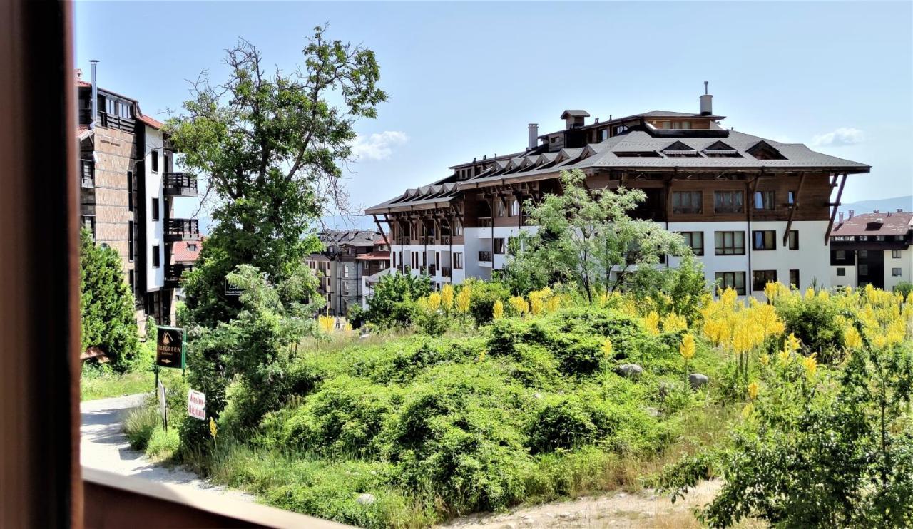 Predela 1 - Studio 10 Near Bansko Ski Lift المظهر الخارجي الصورة